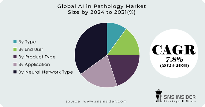 AI in Pathology Market Segment Analysis