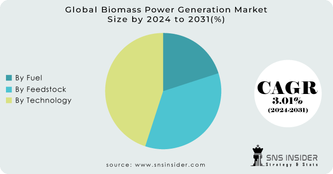 Biomass-Power-Generation-Market Segmentation Analysis