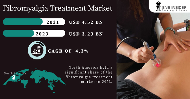 Fibromyalgia Treatment Market Revenue Analysis
