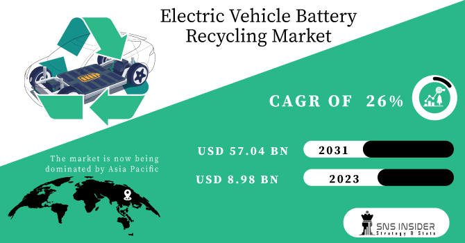 Electric Vehicle Battery Recycling Market Revenue Analysis