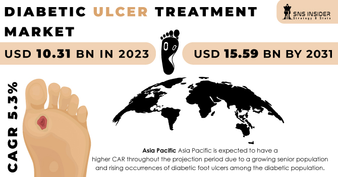 Diabetic Ulcer Treatment Market Revenue Analysis