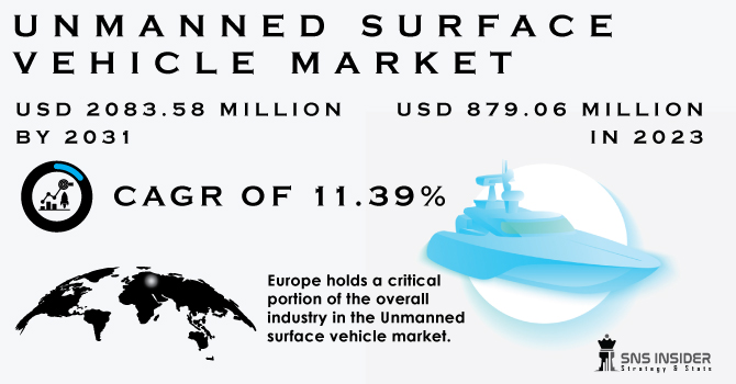 Unmanned Surface Vehicle Market, Revenue Analysis