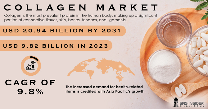 Collagen Market Trend, Revenue Analysis