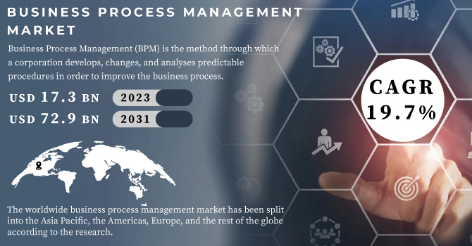 Business Process Management Market Revenue Analysis
