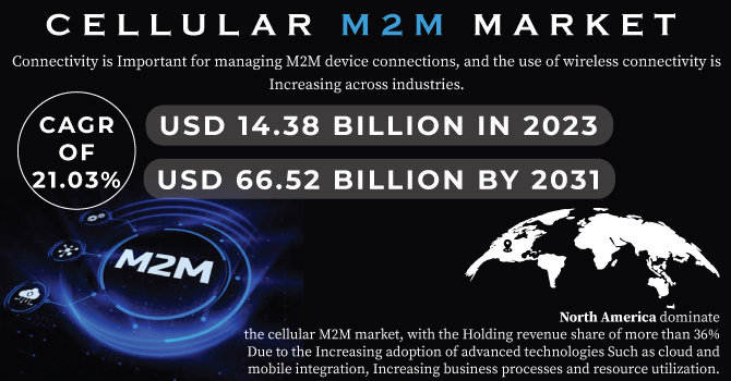 Cellular M2M Market Revenue Analysis