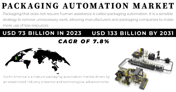 Packaging Automation Market Revenue Analysis