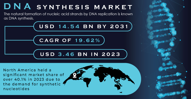 DNA Synthesis Market Revenue Analysis