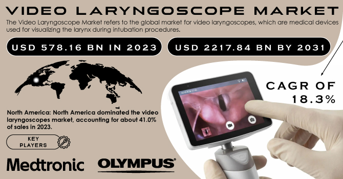 Video Laryngoscope Market Revenue Analysis