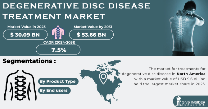 Degenerative Disc Disease Treatment Market Revenue Analysis