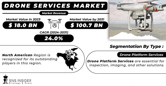 Drone Services Market Revenue Analysis