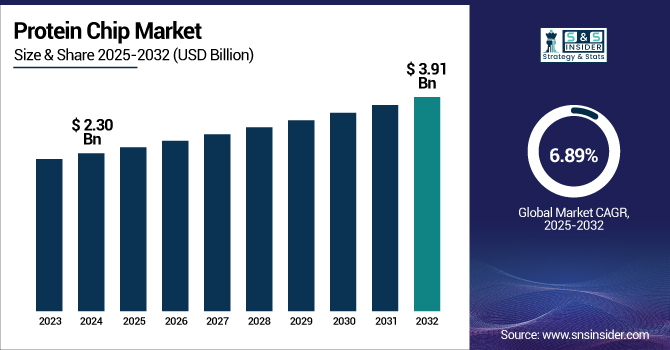 Protein Chip Market Revenue Analysis