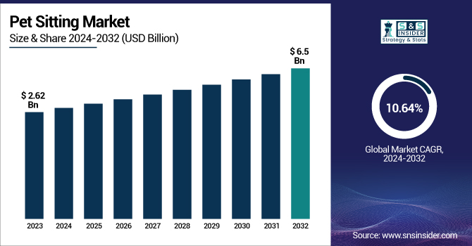 Pet Sitting Market Revenue Analysis