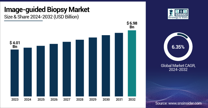 Image-guided Biopsy Market Revenue Analysis
