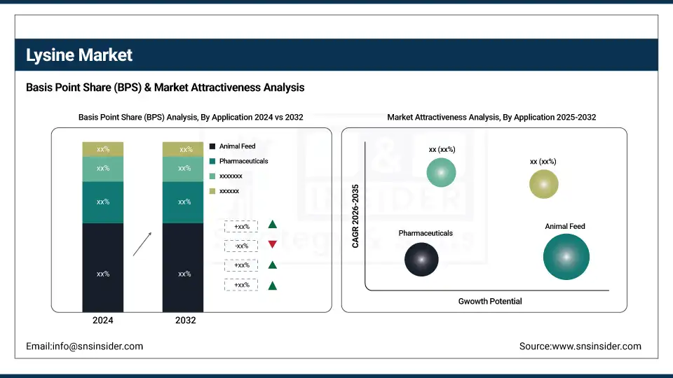 Lysine Market BPS Share By Application