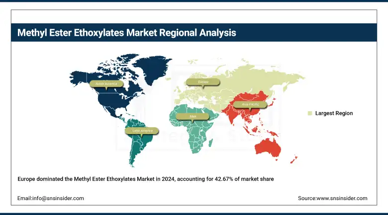 Methyl Ester Ethoxylates Market Share By Region