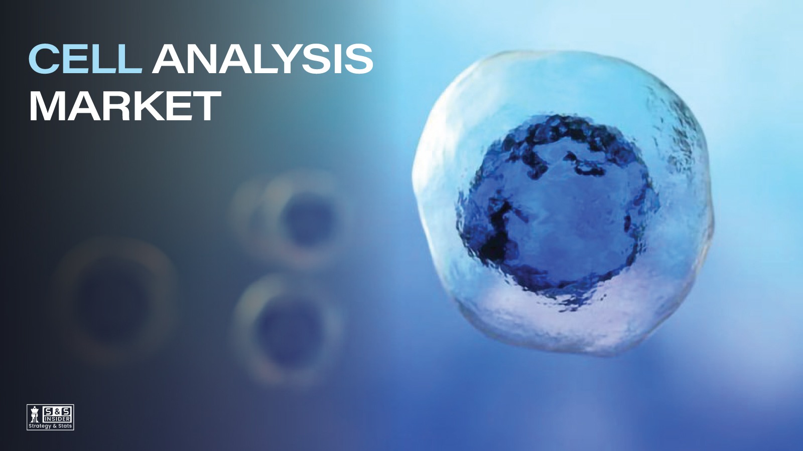 Cell Analysis Market