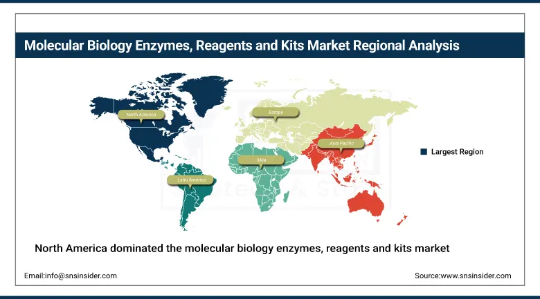 Molecular Biology Enzymes, Reagents and Kits Market Share By Region