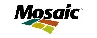 Mosiac