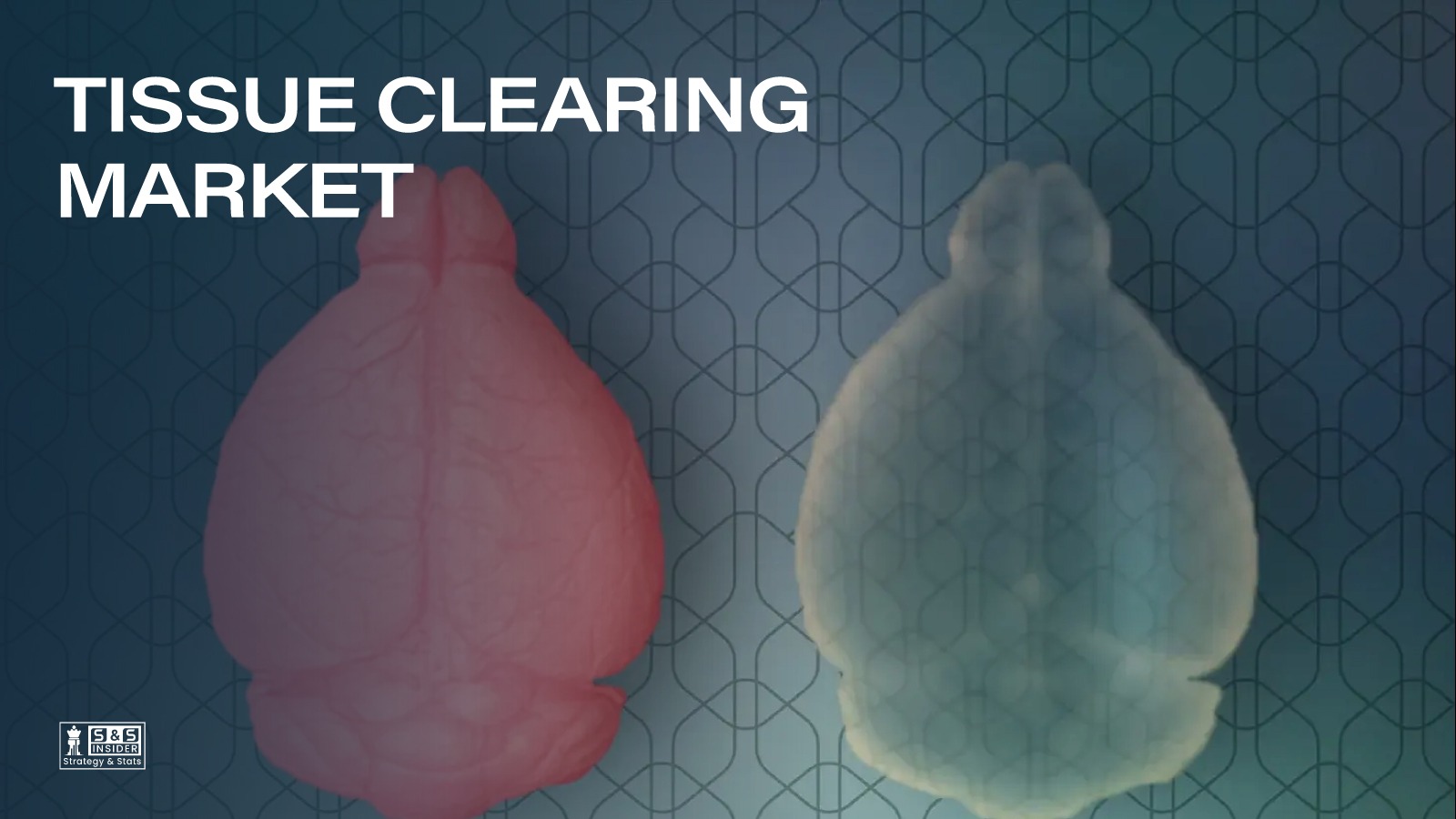 Tissue Clearing Market