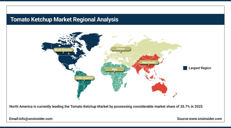 Tomato Ketchup Market Share by Region