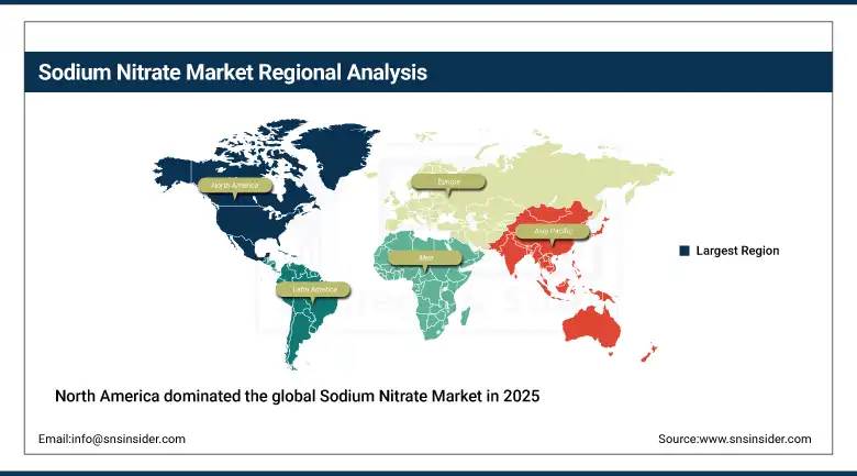 Sodium Nitrate Market Share By Region
