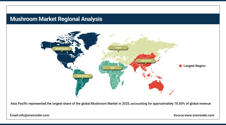 Mushroom Market Share by Region