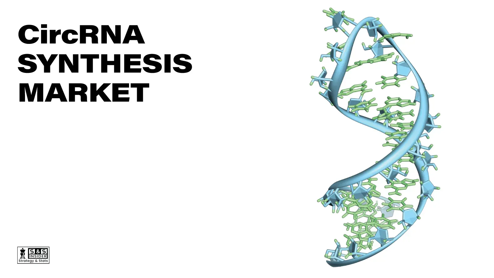 CircRNA Synthesis Market