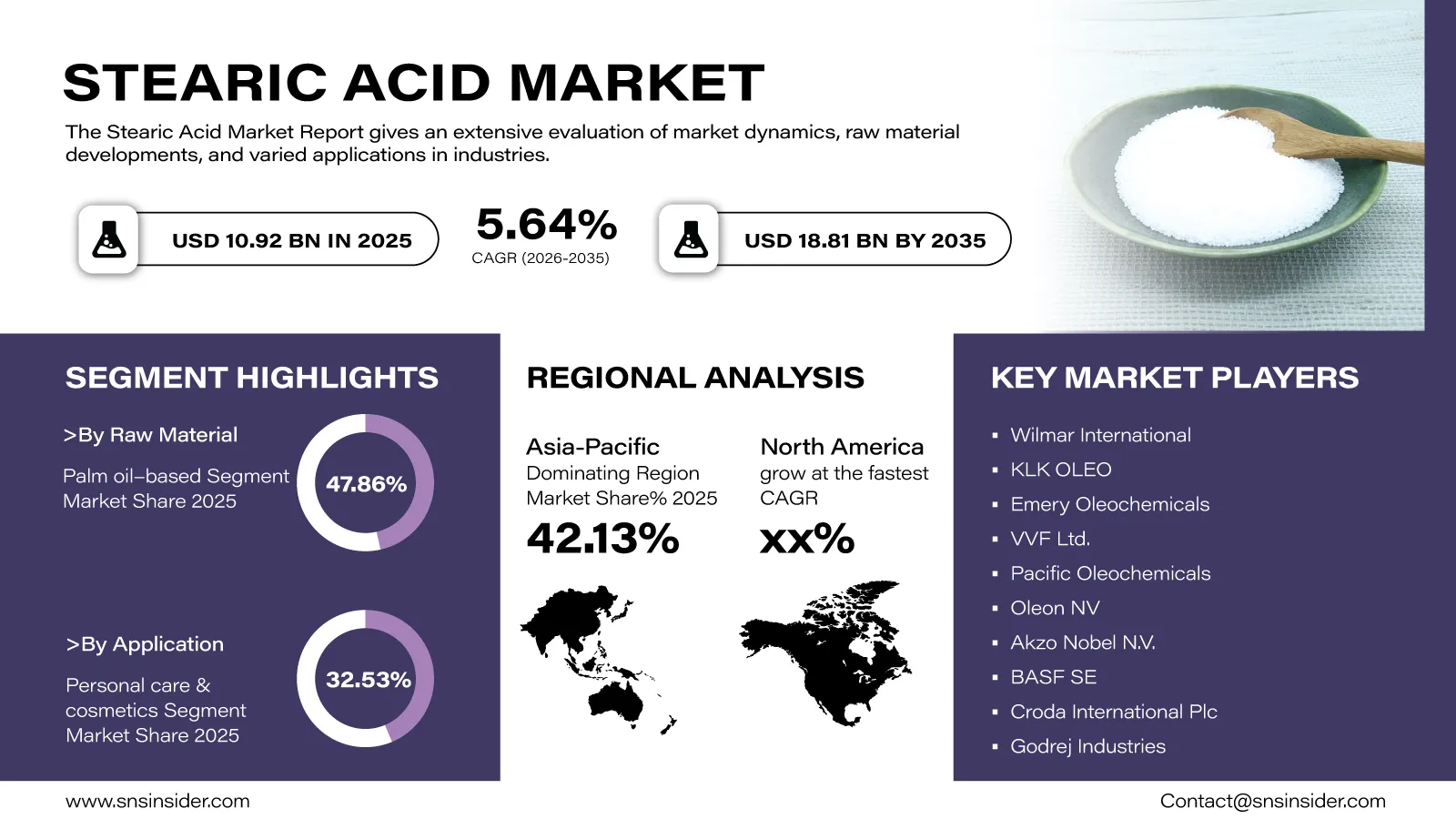 Stearic Acid Market Forecast 2026-2035