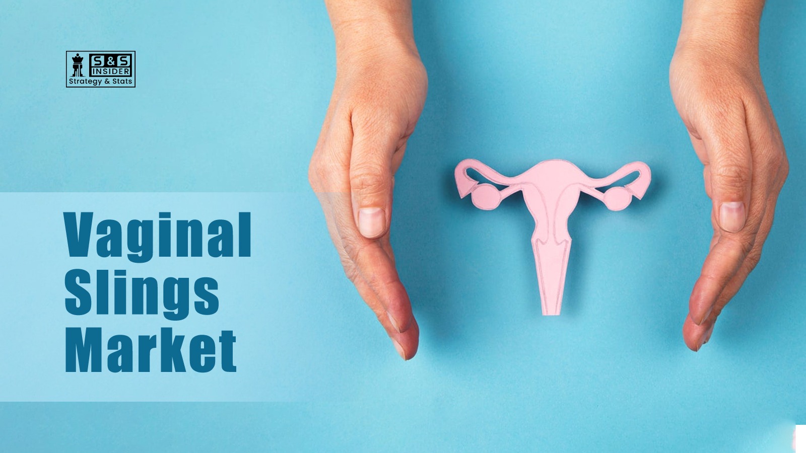 Key Companies Shaping Growth In The Vaginal Slings Market