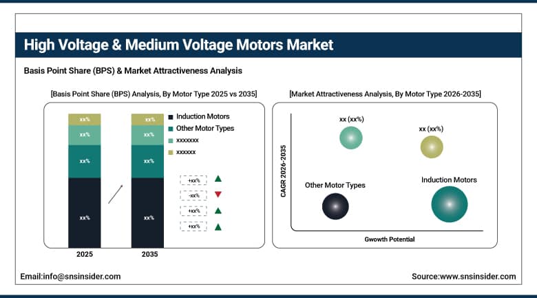 High Voltage & Medium Voltage Motors Market BPS Share by Motor Type