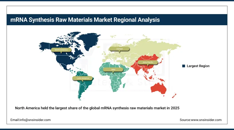 mRNA Synthesis Raw Materials Market Share By Region