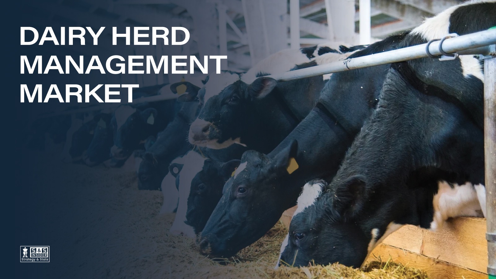 Dairy Herd Management Market