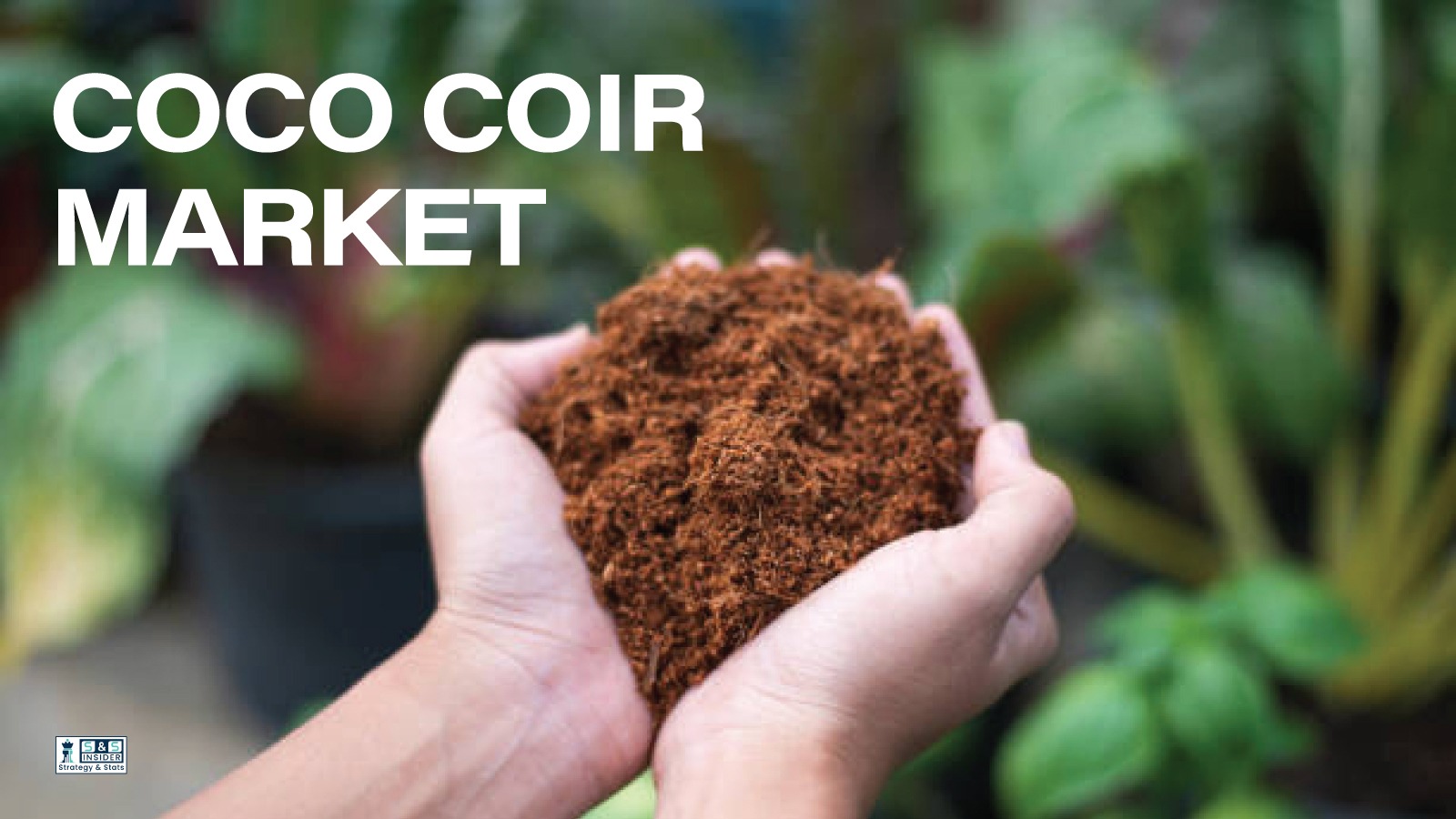 Top Companies Expanding Global Opportunities In Coco Coir Solutions