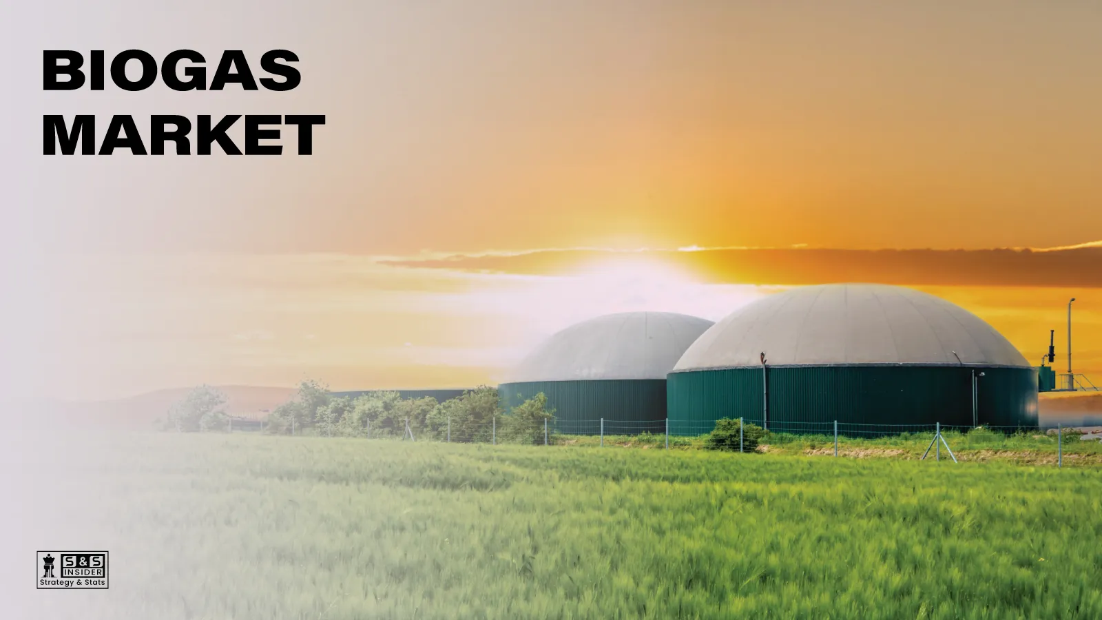 Biogas Market