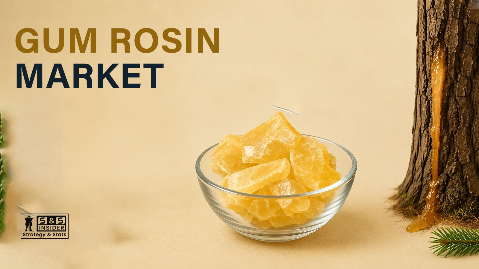 Gum Rosin Market