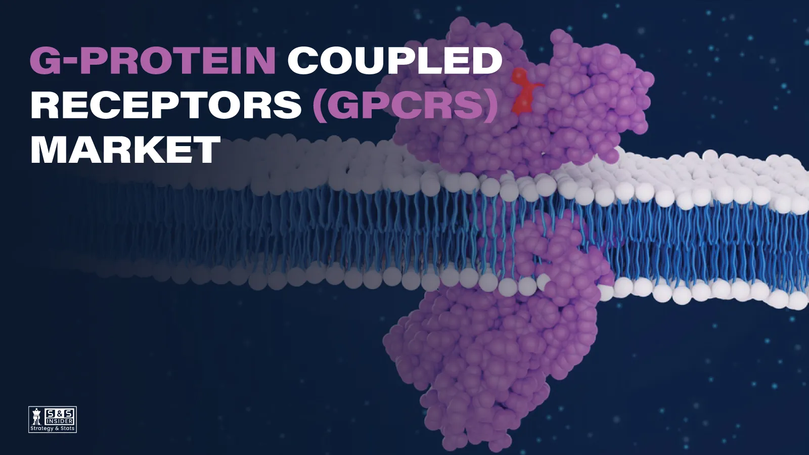 G-Protein Coupled Receptors Market