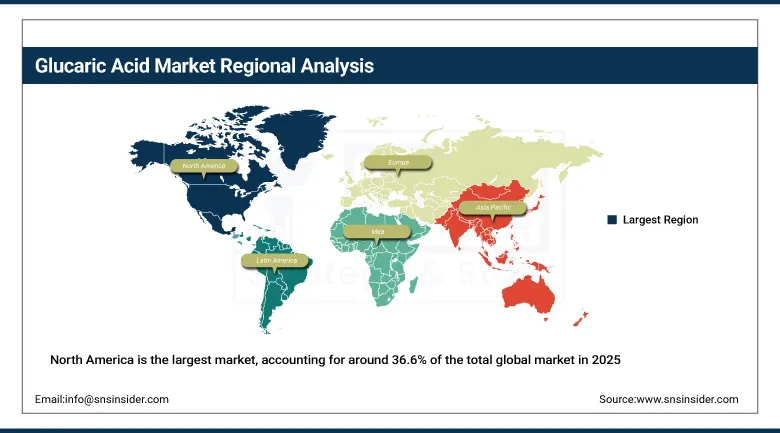 Glucaric Acid Market Share By Region