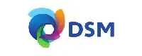 DSM