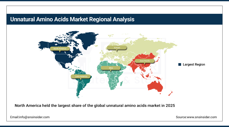Unnatural Amino Acids Market Share By Region
