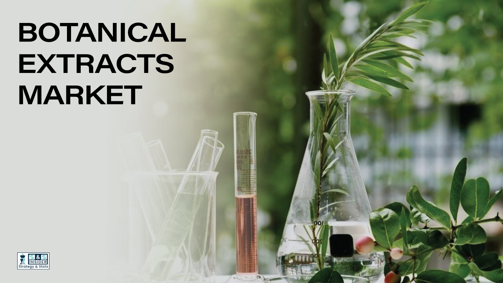 Botanical Extracts Market