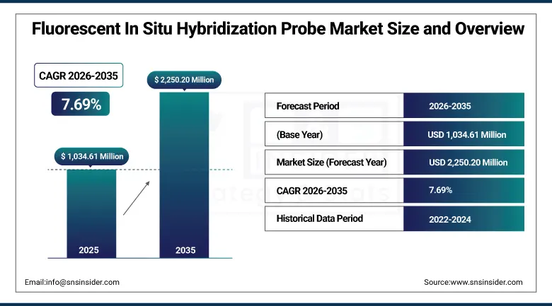 Fluorescent In Situ Hybridization Probe Market Size and Overview
