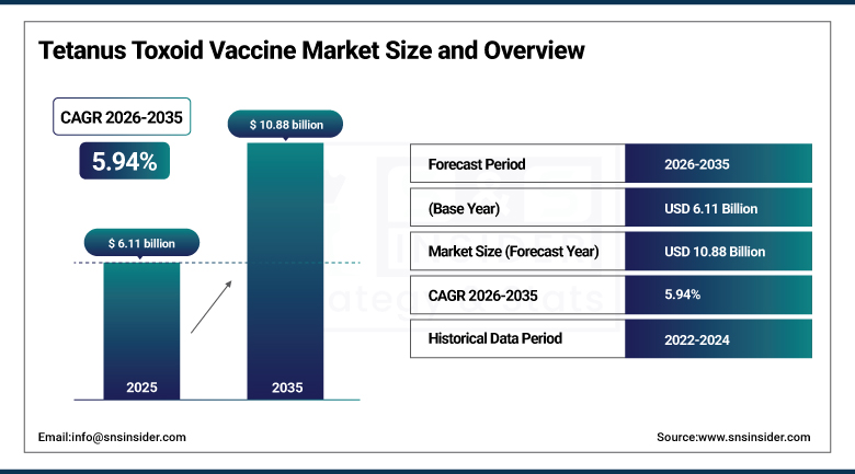 Tetanus Toxoid Vaccine Market Size and Overview