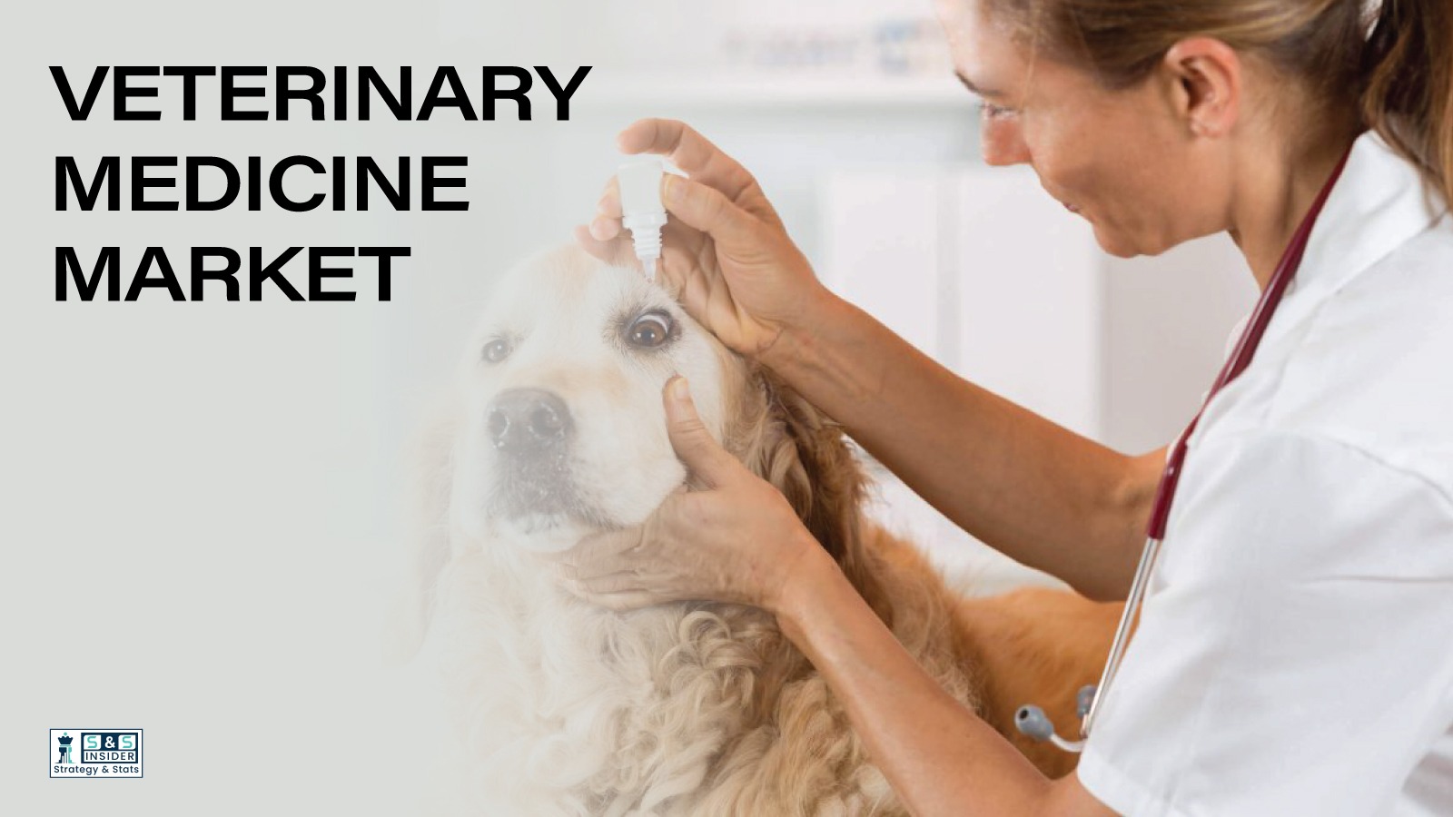Veterinary Medicine Market