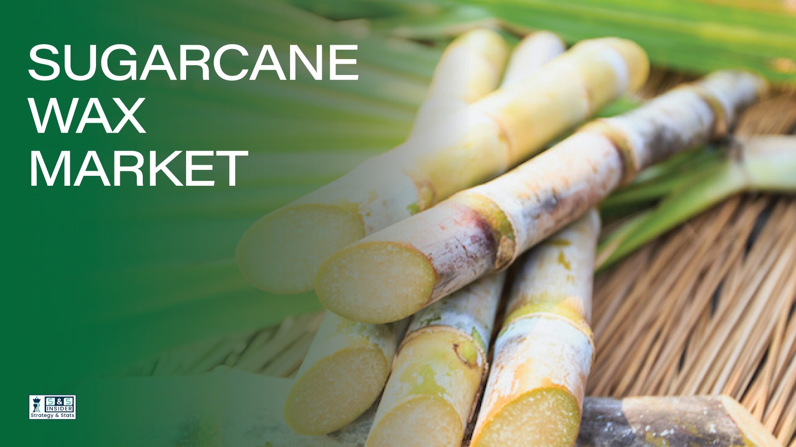 Top Leading Manufacturers Expanding Applications Of Sugarcane Wax Globally