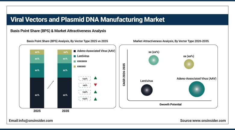 Viral Vectors and Plasmid DNA Manufacturing Market BPS Share by Vector Type